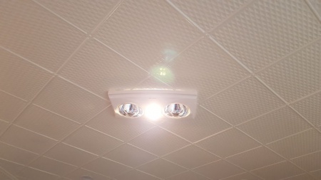 apm_kingston_ceiling