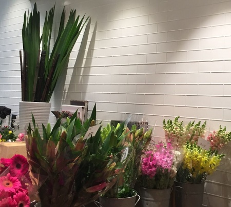 apm_white_brick_wall_opt